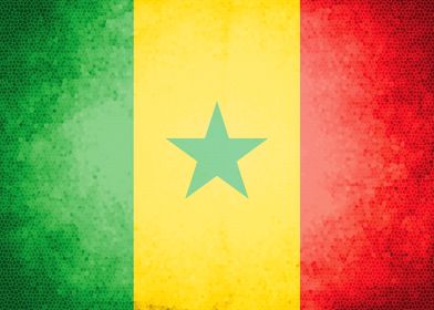 Senegal vintage flag