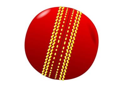 Cricket Ball