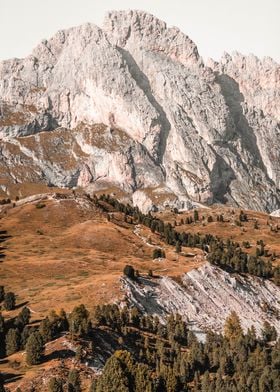 White Dolomite Cliff