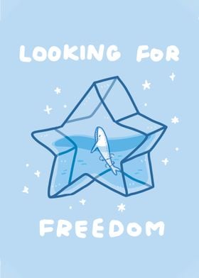 Looking For Freedom