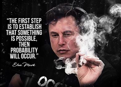 Elon Musk quotes