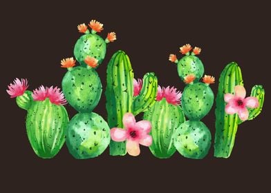 family of cactus