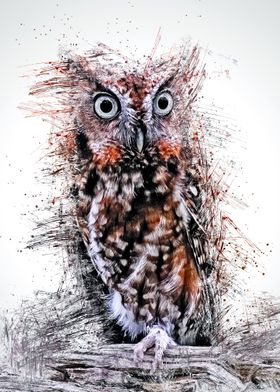 Owl 13