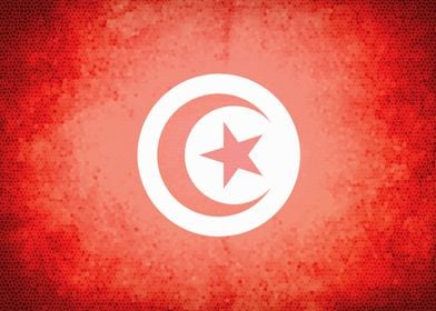 Tunisia vintage flag