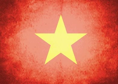 Vietnam vintage flag