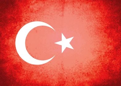 Turkey vintage flag