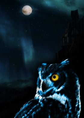 Owl 