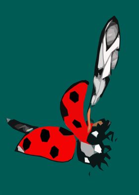 Ladybird