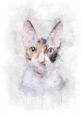 Cornish Rex cat watercolor