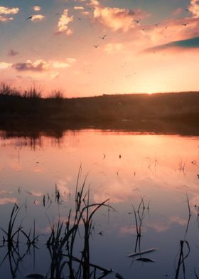 Sunset over the lake