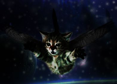 Flying Cat