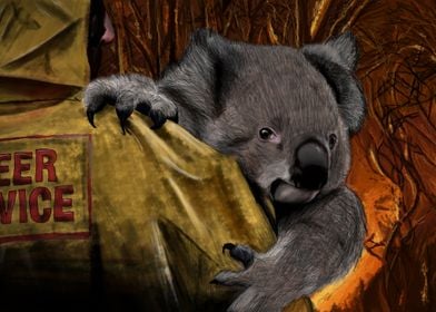 Koala Pray For Australia