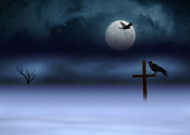Night Winter Crow