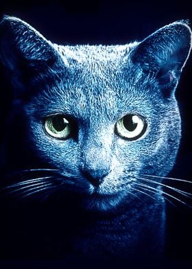 Blue Cat Neon Light