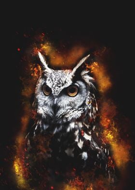 owl in burn