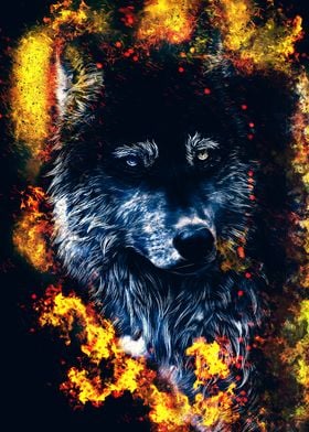 wolf in burn