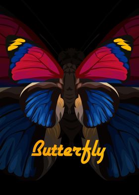 Butterfly illustrations