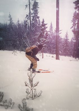 Extreme Skier Freeride