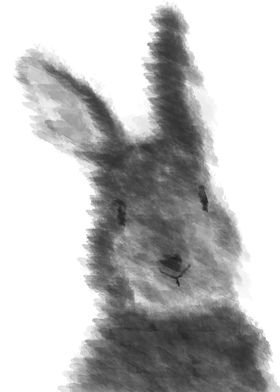the rabbit 