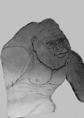 Gorilla