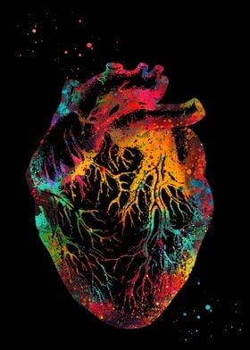 Heart Anatomy 