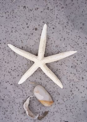 Sand Stars