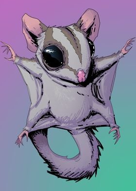 Adorable Sugar Glider