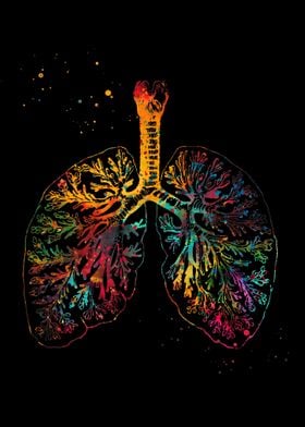 Anatomical Lungs