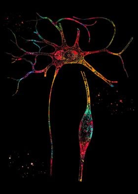 Neurons Cells 