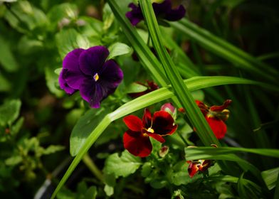 The base of a good garden