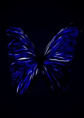 Blue Butterfly