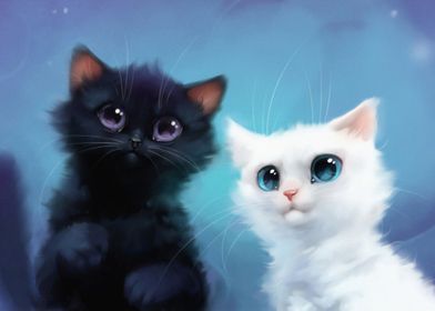 black and white cats cute 