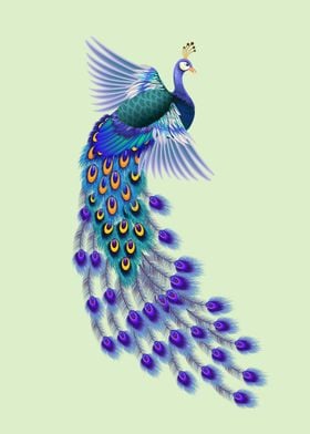 stylized peacock