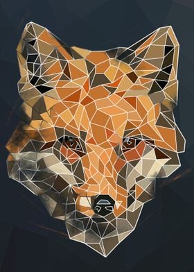 Fox Head Abstract Sketch