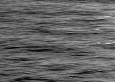 Black and white waterscape