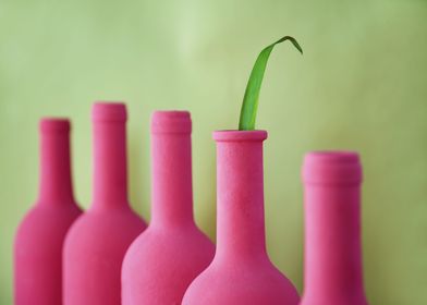 Bottle Pink