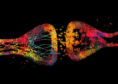 Human nerve cell 