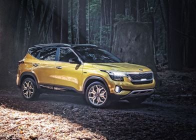 Kia Seltos 2020 exterior c