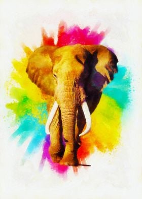 Colorful elephant painting