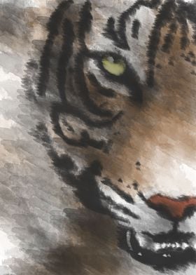 tiger