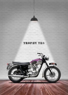 The 1963 Trophy TR6