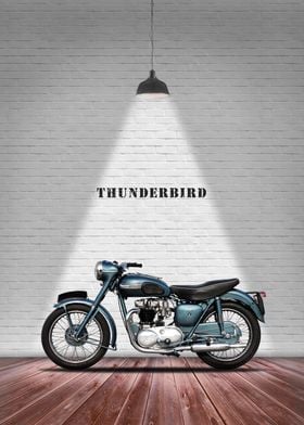 The 1955 Thunderbird