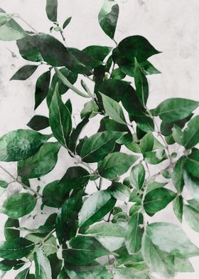 Watercolor Leaves