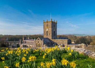 St Davids Cathedral