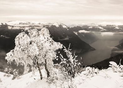 Snow on the Moutains