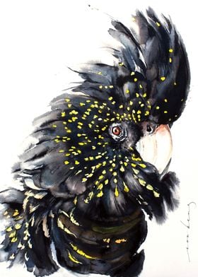 Black Cockatoo2