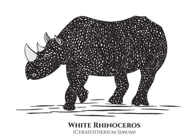 White Rhino with names