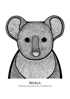 Koala with names