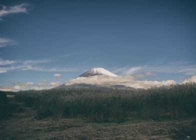 Distant view of Mt Fuji