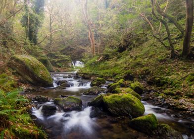 Dolgoch Falls in Wales